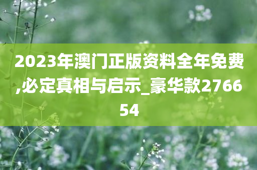 2023年澳门正版资料全年免费,必定真相与启示_豪华款276654