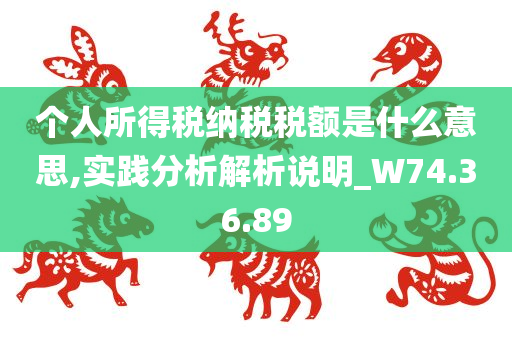 个人所得税纳税税额是什么意思,实践分析解析说明_W74.36.89