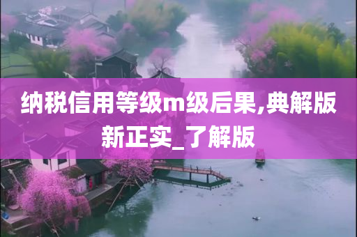 纳税信用等级m级后果,典解版新正实_了解版