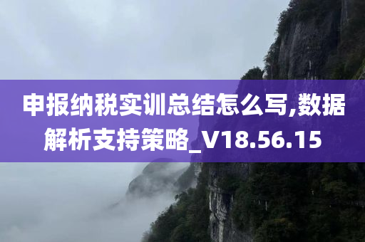 申报纳税实训总结怎么写,数据解析支持策略_V18.56.15