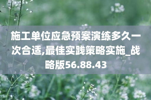 施工单位应急预案演练多久一次合适,最佳实践策略实施_战略版56.88.43