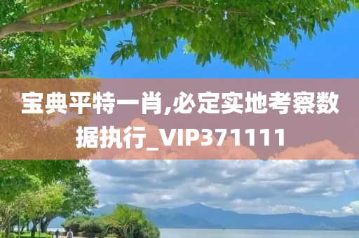 宝典平特一肖,必定实地考察数据执行_VIP371111