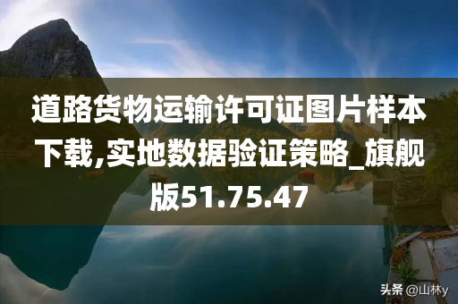 道路货物运输许可证图片样本下载,实地数据验证策略_旗舰版51.75.47