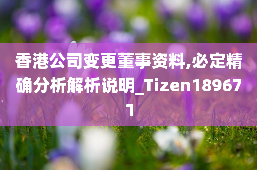 香港公司变更董事资料,必定精确分析解析说明_Tizen189671