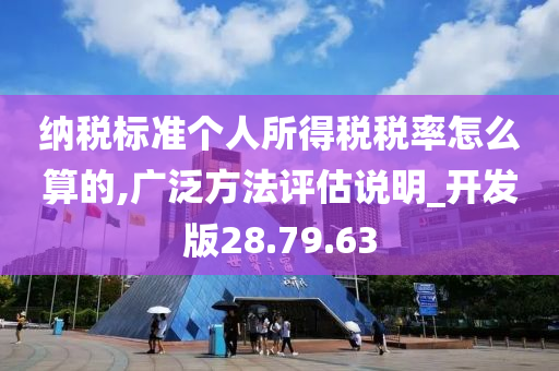 纳税标准个人所得税税率怎么算的,广泛方法评估说明_开发版28.79.63