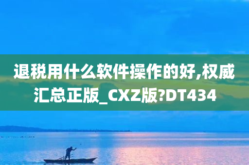 退税用什么软件操作的好,权威汇总正版_CXZ版?DT434