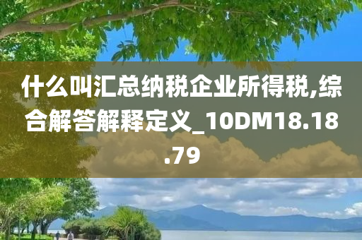 什么叫汇总纳税企业所得税,综合解答解释定义_10DM18.18.79