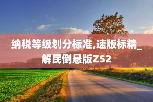 纳税等级划分标准,速版标精_解民倒悬版ZS2