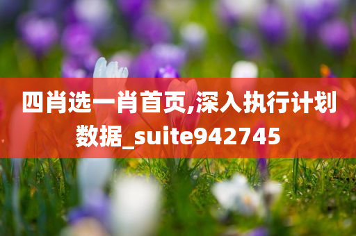 四肖选一肖首页,深入执行计划数据_suite942745