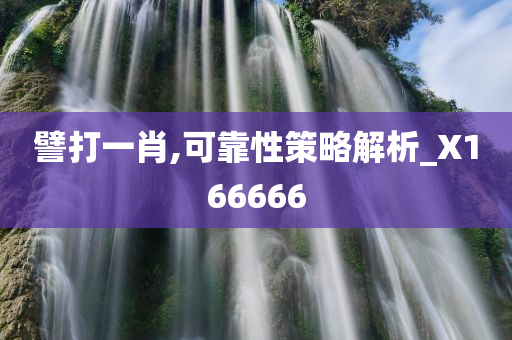 譬打一肖,可靠性策略解析_X166666