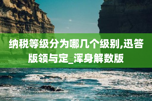 纳税等级分为哪几个级别,迅答版领与定_浑身解数版