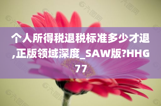 个人所得税退税标准多少才退,正版领域深度_SAW版?HHG77