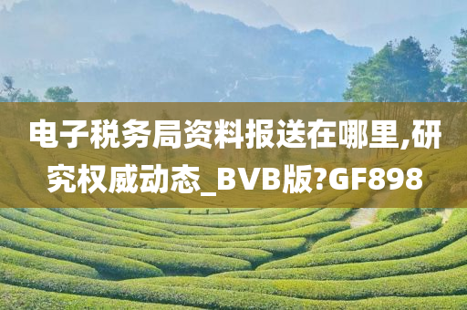 电子税务局资料报送在哪里,研究权威动态_BVB版?GF898