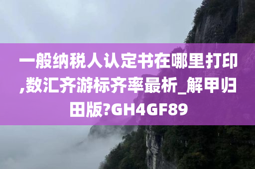 一般纳税人认定书在哪里打印,数汇齐游标齐率最析_解甲归田版?GH4GF89