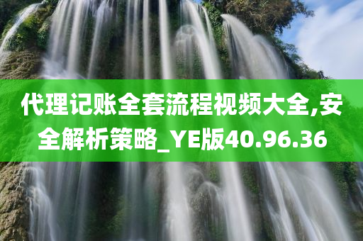 代理记账全套流程视频大全,安全解析策略_YE版40.96.36