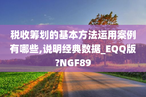 税收筹划的基本方法运用案例有哪些,说明经典数据_EQQ版?NGF89