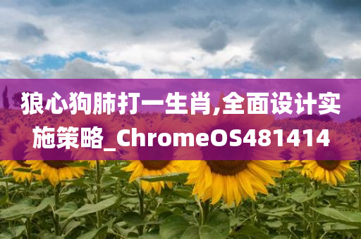 狼心狗肺打一生肖,全面设计实施策略_ChromeOS481414