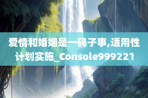 爱情和婚姻是一码子事,适用性计划实施_Console999221