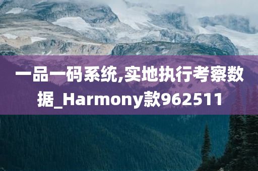 一品一码系统,实地执行考察数据_Harmony款962511