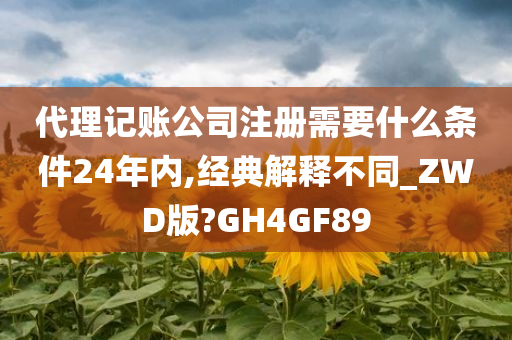 代理记账公司注册需要什么条件24年内,经典解释不同_ZWD版?GH4GF89