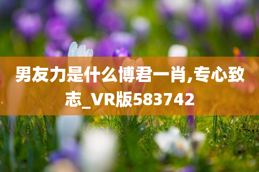 男友力是什么博君一肖,专心致志_VR版583742