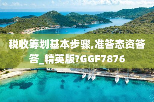 税收筹划基本步骤,准答态资答答_精英版?GGF7876