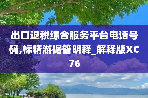 出口退税综合服务平台电话号码,标精游据答明释_解释版XC76