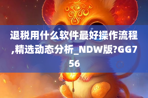 退税用什么软件最好操作流程,精选动态分析_NDW版?GG756