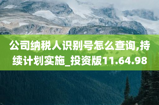 公司纳税人识别号怎么查询,持续计划实施_投资版11.64.98