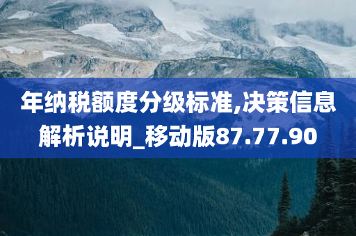 年纳税额度分级标准,决策信息解析说明_移动版87.77.90