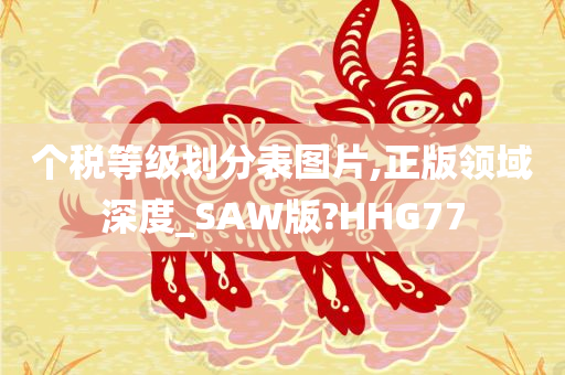 个税等级划分表图片,正版领域深度_SAW版?HHG77