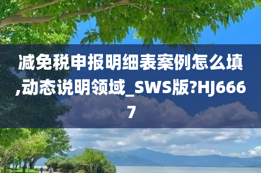 减免税申报明细表案例怎么填,动态说明领域_SWS版?HJ6667