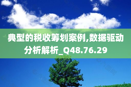 典型的税收筹划案例,数据驱动分析解析_Q48.76.29