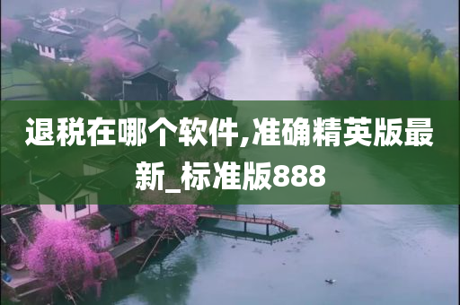 退税在哪个软件,准确精英版最新_标准版888