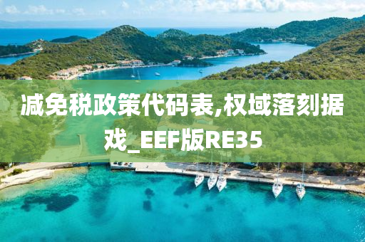 减免税政策代码表,权域落刻据戏_EEF版RE35