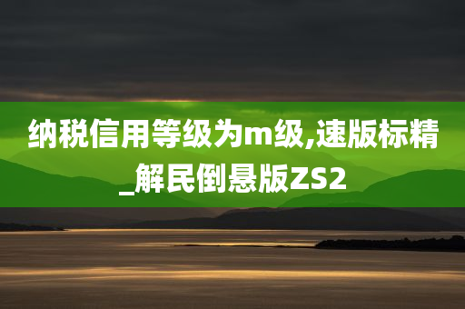 纳税信用等级为m级,速版标精_解民倒悬版ZS2