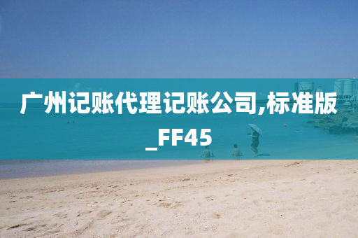 广州记账代理记账公司,标准版_FF45