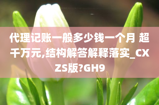 代理记账一般多少钱一个月 超千万元,结构解答解释落实_CXZS版?GH9