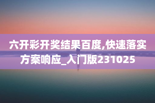 六开彩开奖结果百度,快速落实方案响应_入门版231025