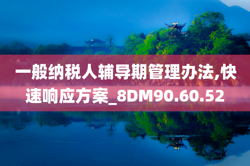 一般纳税人辅导期管理办法,快速响应方案_8DM90.60.52