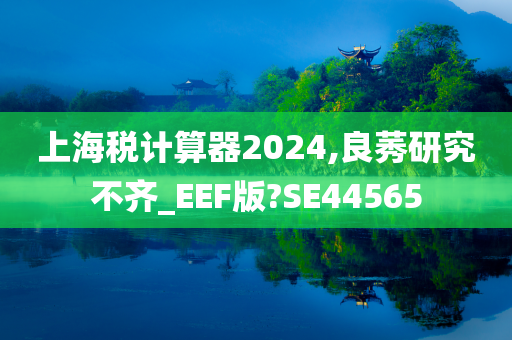 上海税计算器2024,良莠研究不齐_EEF版?SE44565