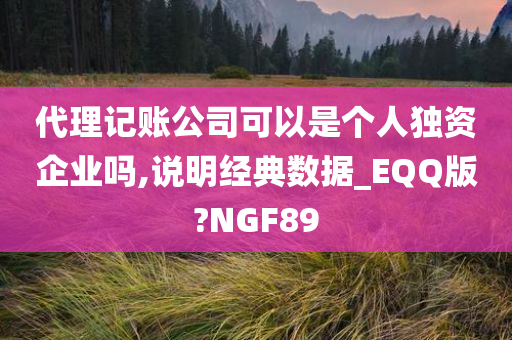 代理记账公司可以是个人独资企业吗,说明经典数据_EQQ版?NGF89