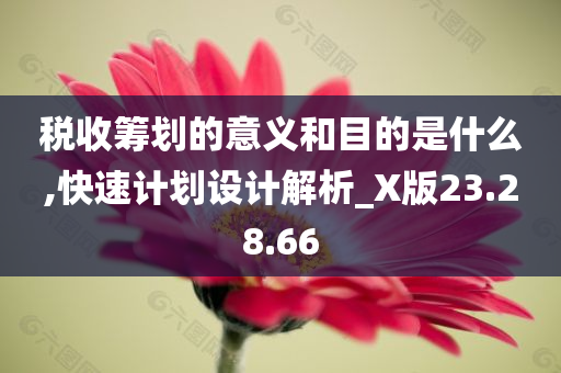 税收筹划的意义和目的是什么,快速计划设计解析_X版23.28.66