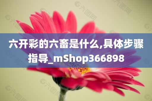 六开彩的六畜是什么,具体步骤指导_mShop366898