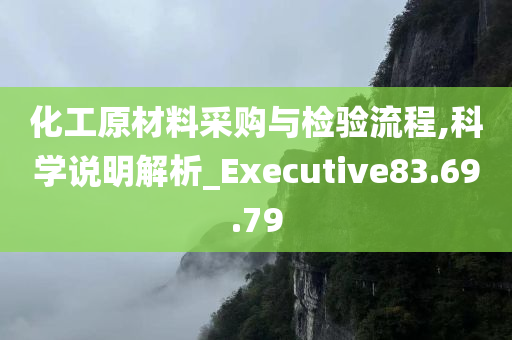 化工原材料采购与检验流程,科学说明解析_Executive83.69.79