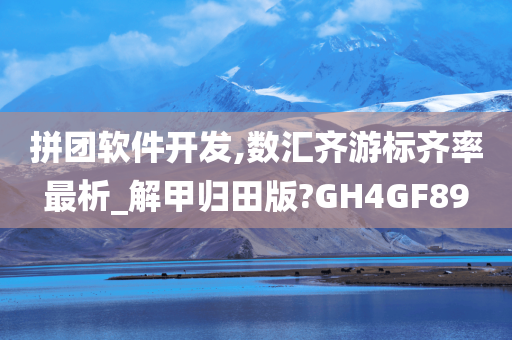 拼团软件开发,数汇齐游标齐率最析_解甲归田版?GH4GF89