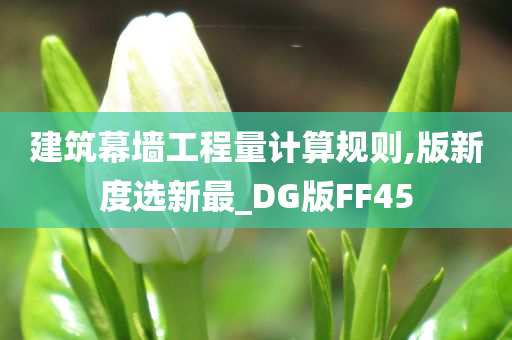 建筑幕墙工程量计算规则,版新度选新最_DG版FF45