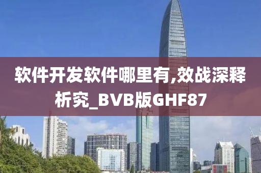 软件开发软件哪里有,效战深释析究_BVB版GHF87