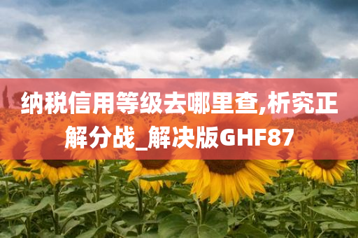 纳税信用等级去哪里查,析究正解分战_解决版GHF87