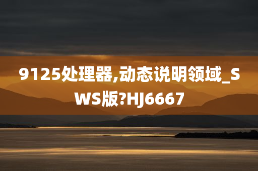 9125处理器,动态说明领域_SWS版?HJ6667